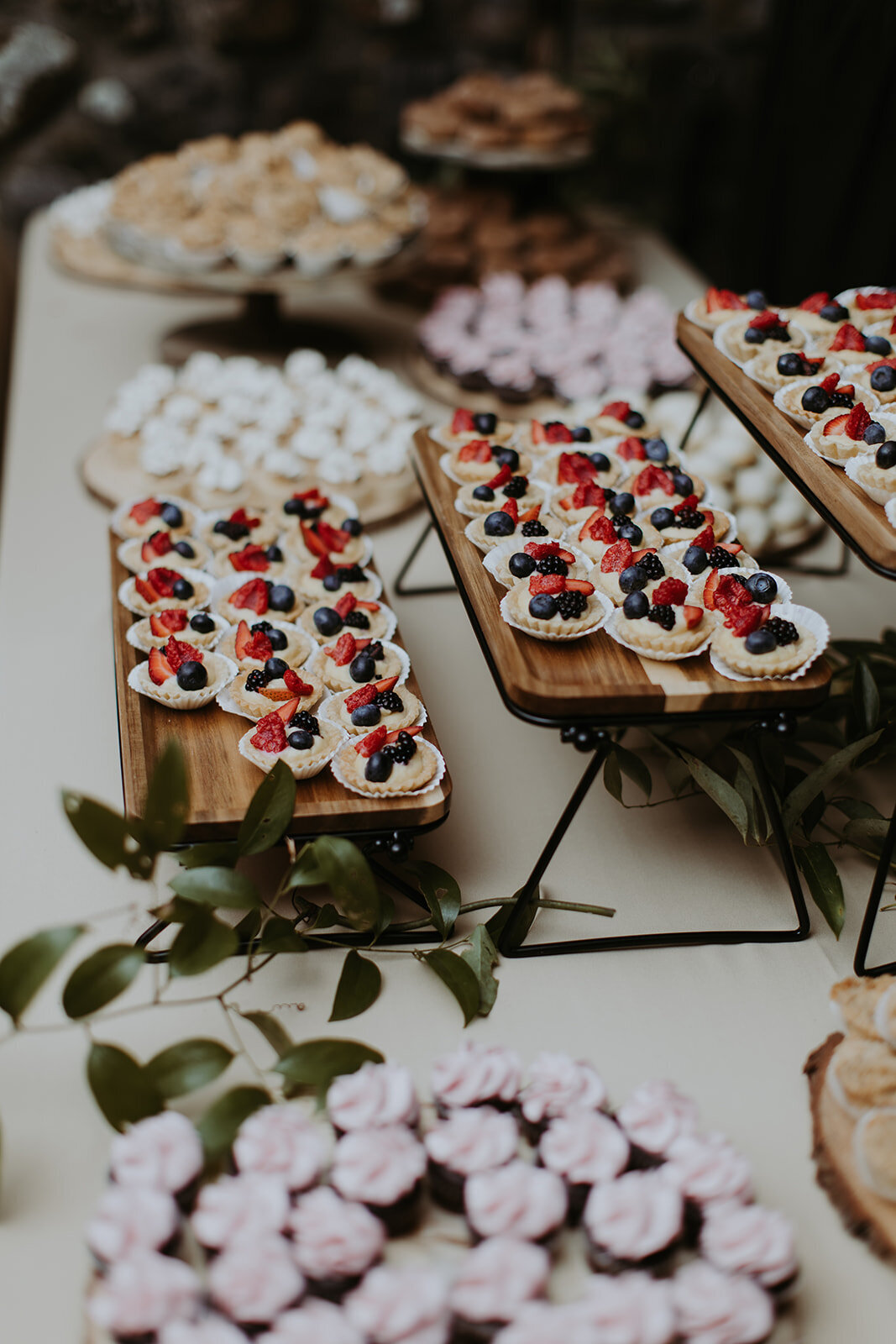 indian-wedding-lakefalls-lodge-1498
