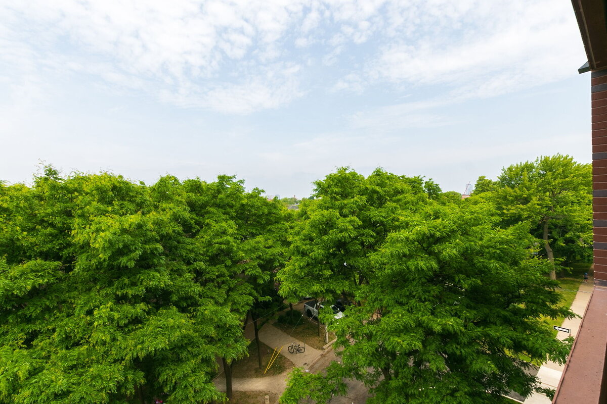 27-web-or-mls-78_002_View