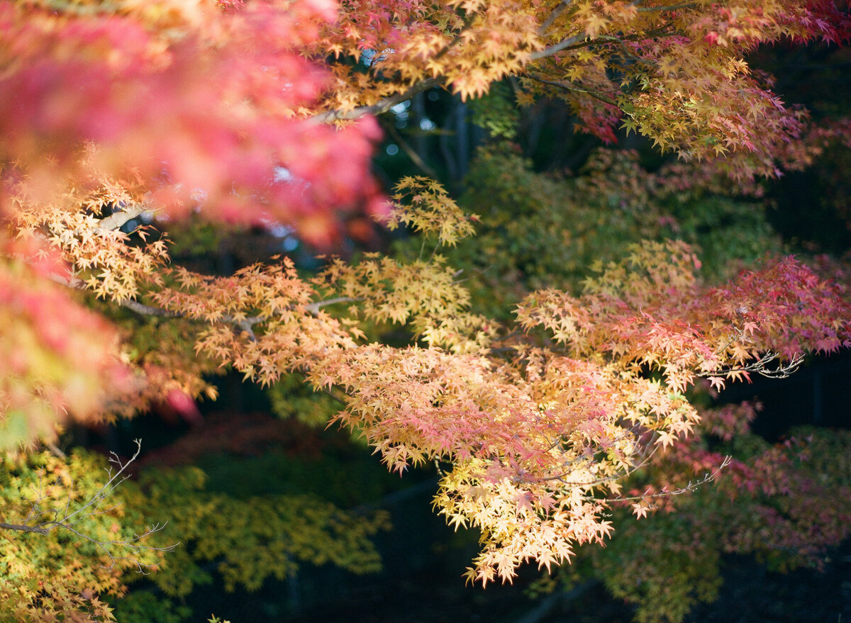 kyoto-prewedding-raymond-vivien-67