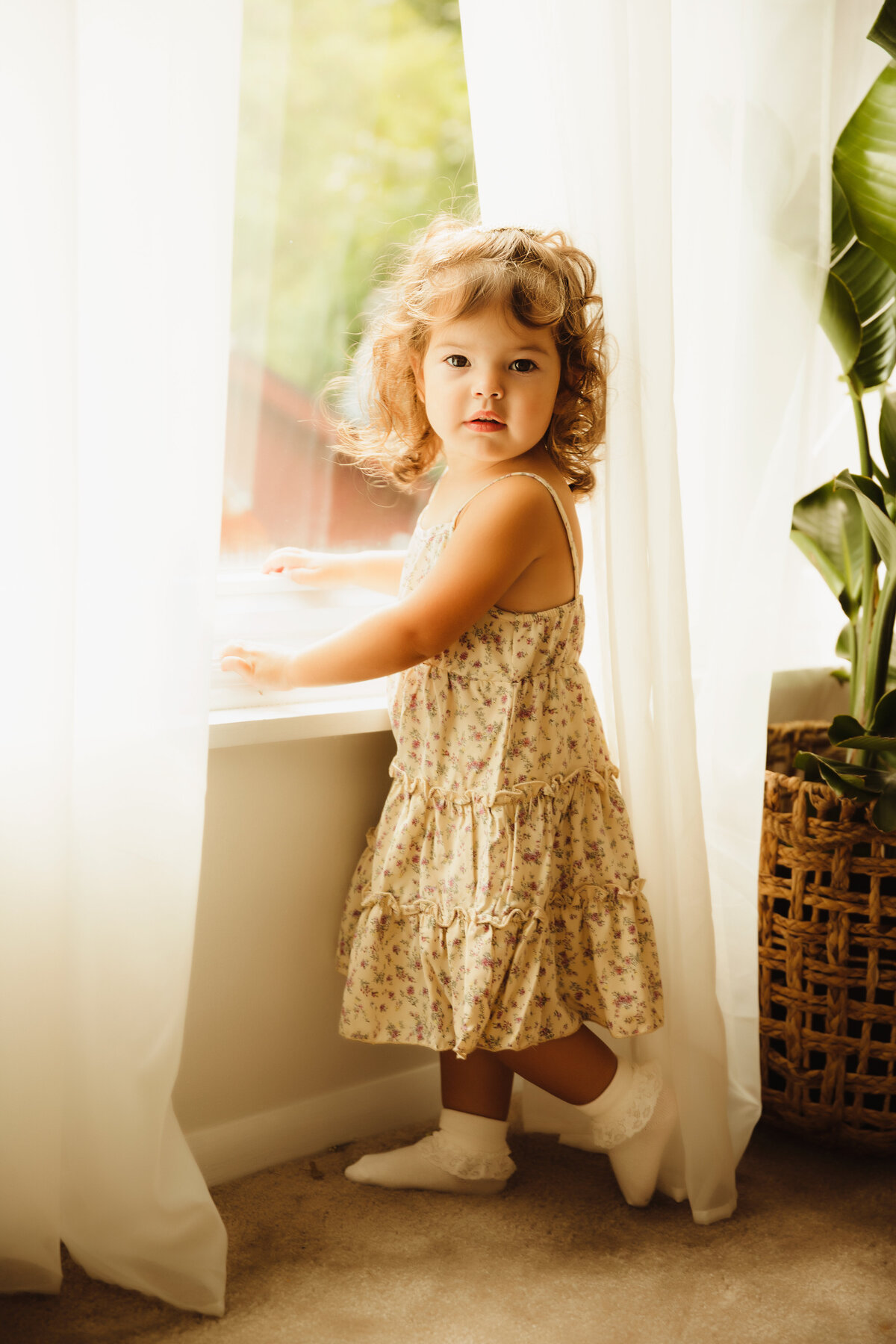 Milestone photos of little girl in central new york