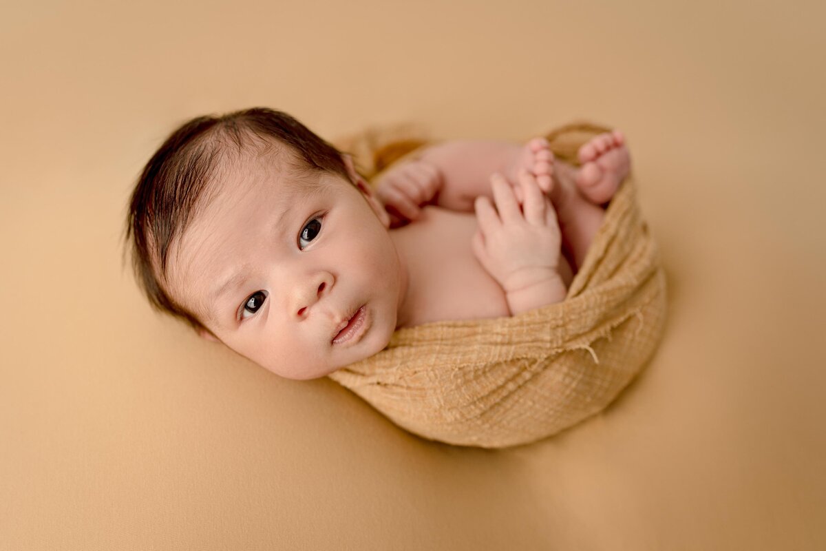 Newborn baby boy swaddled in a mustard wrap laying on his back, looking at the camera