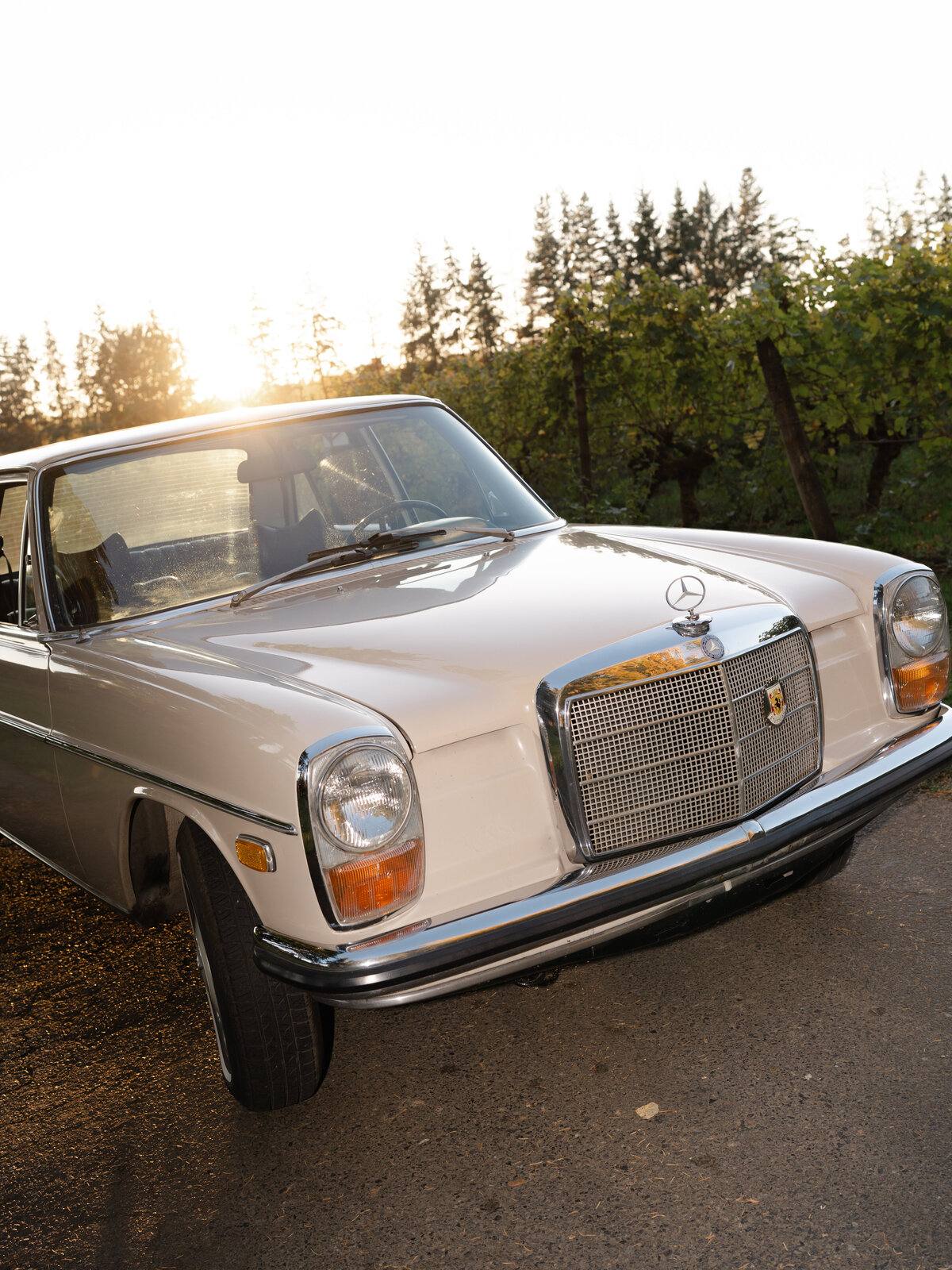 bend-portland-oregon-wedding-photographer-145