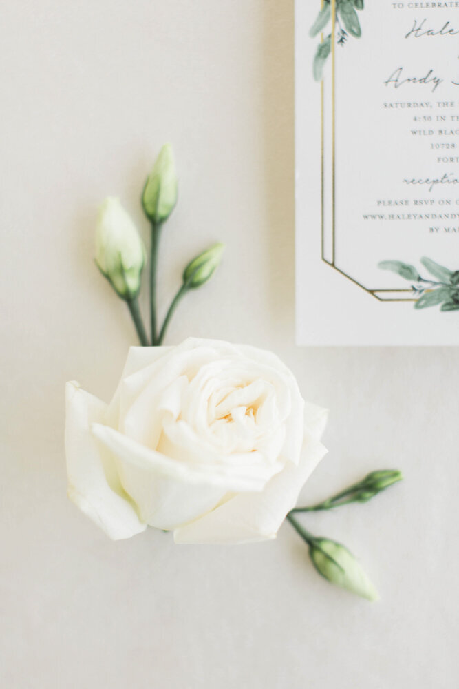 close up shot of rose and wedding invitation