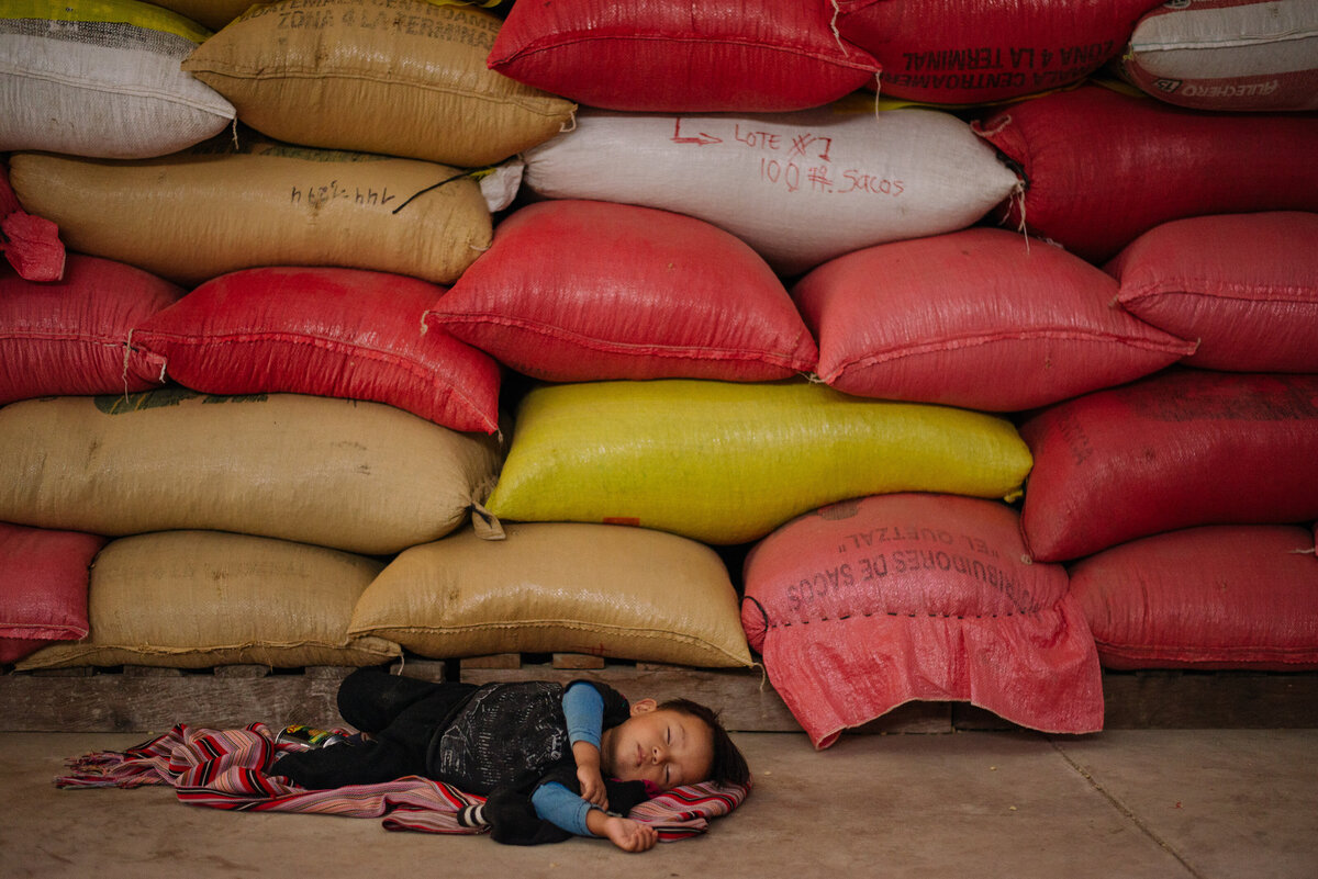 red yellow and tan coffee bags stack to the ceiling and child sleeps on the ground