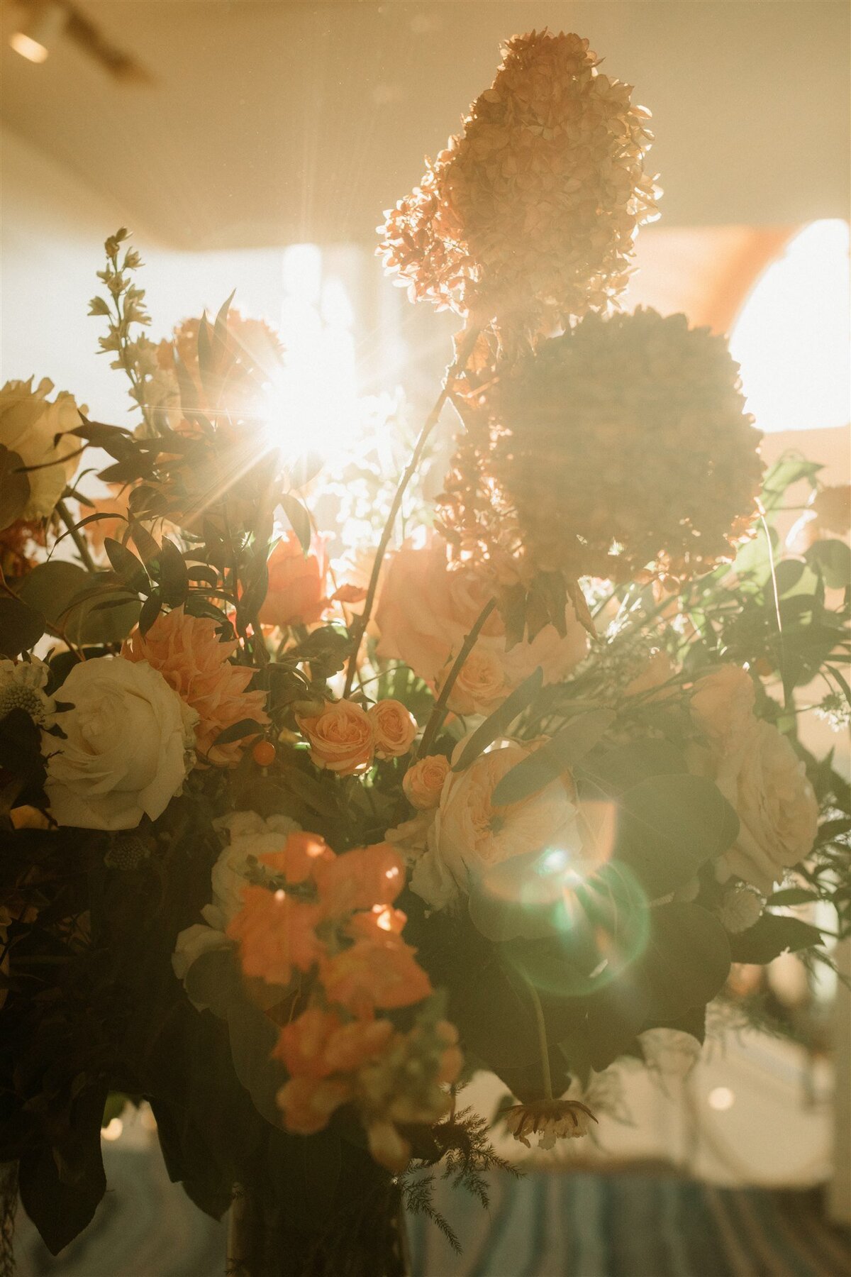 julia+john_wedding_0504