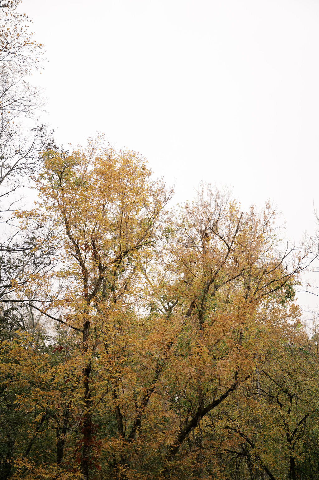 Michaela-Haidar-Sneak-Peeks-0049