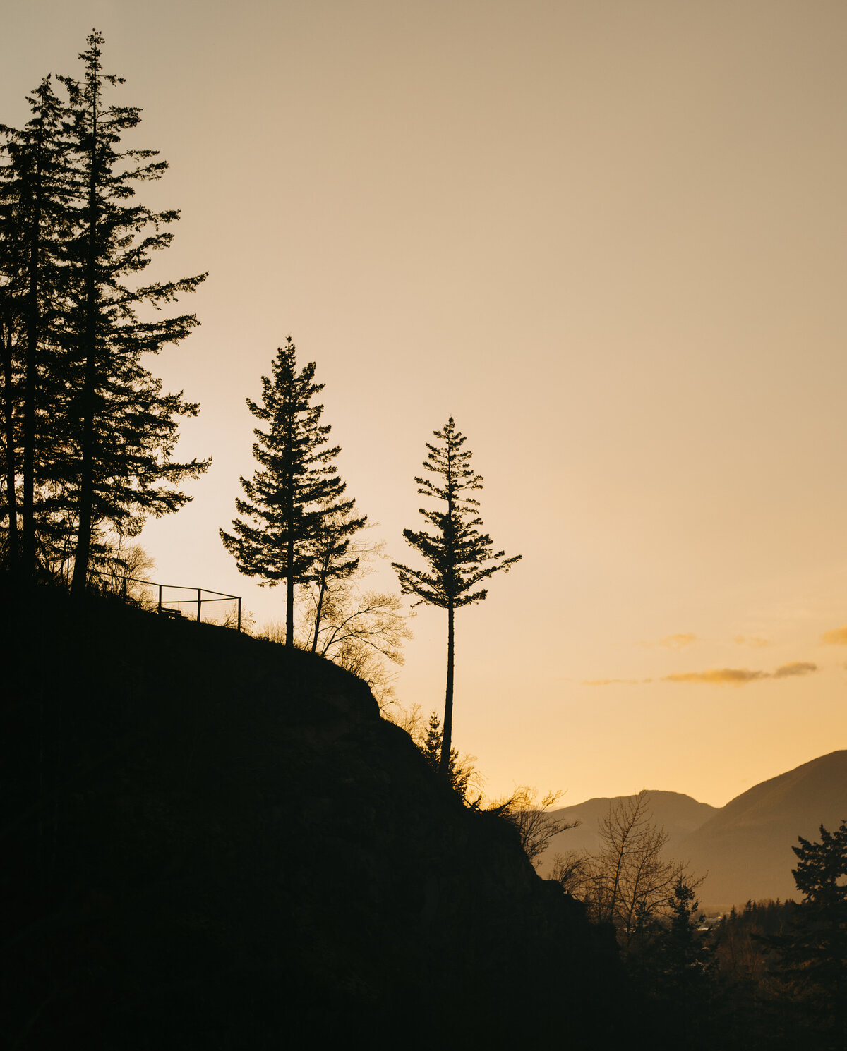 CORISSAFIRPHOTOGRAPH-15