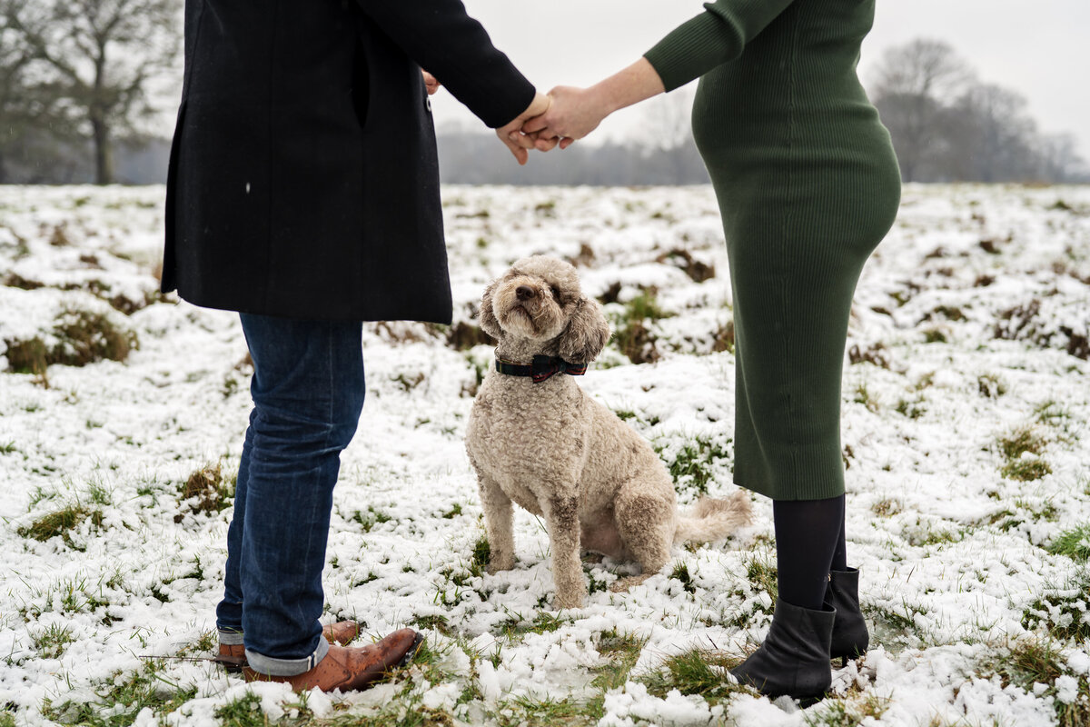 BushyPark_MaternityPhotoshoot_JMP_1
