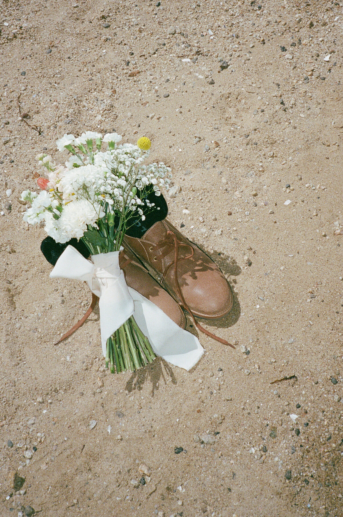 Kelly+Joel-Point-Reyes-Wedding-550