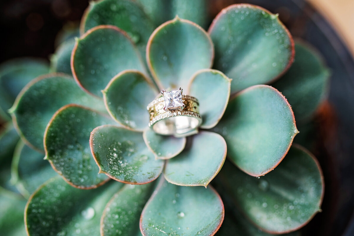 BARNESENGAGEMENT_CROWNB_00794
