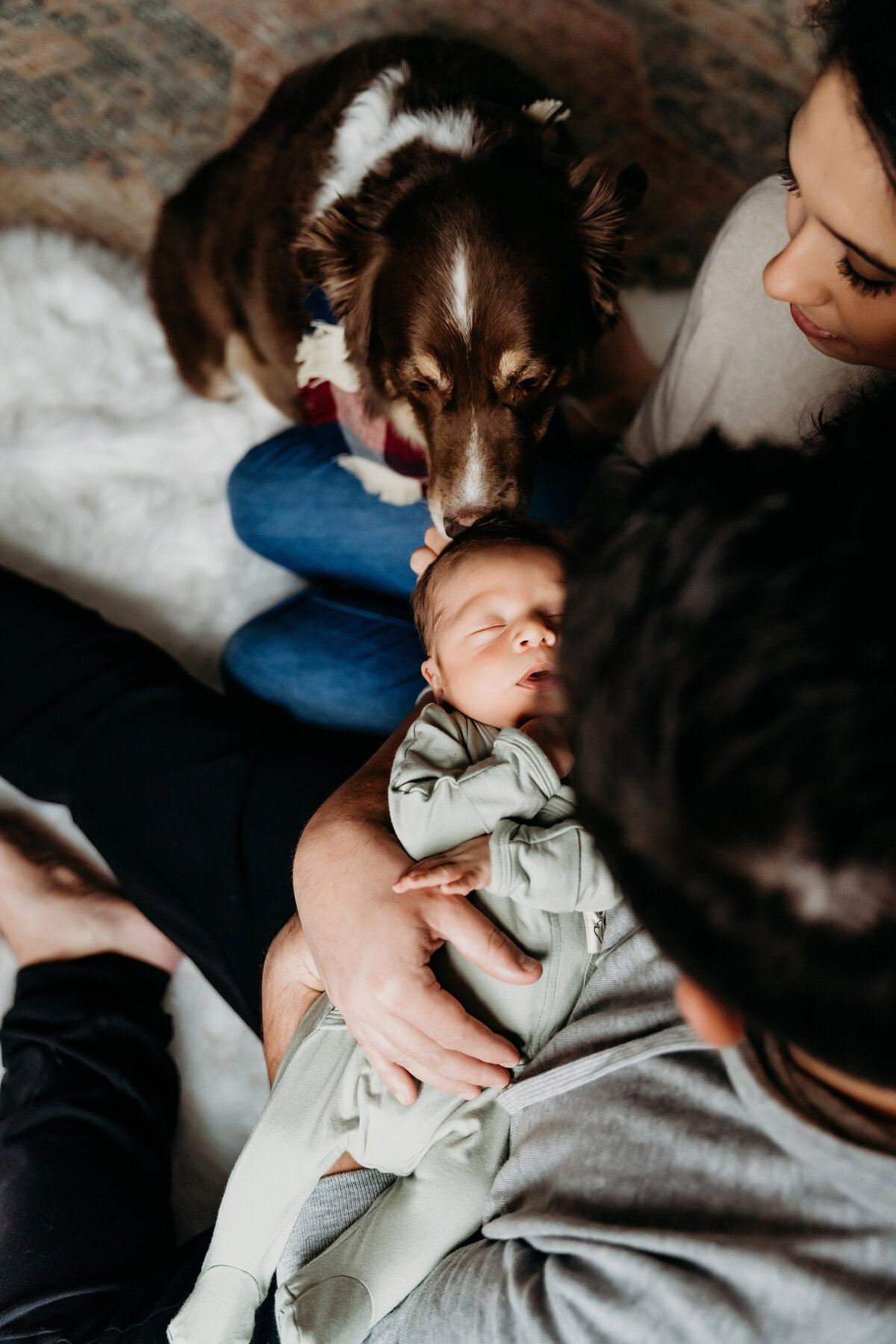 Newborn Photography, a dad holds his newborn baby, a dog investigates baby too