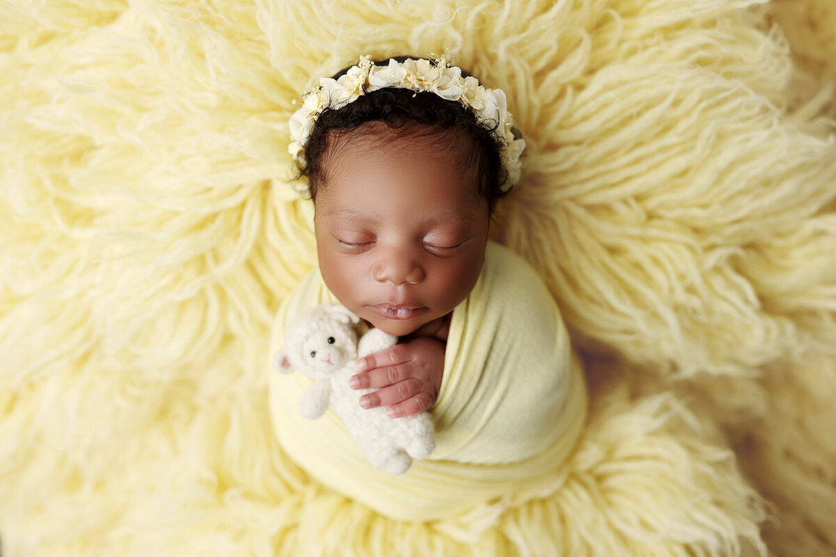 Newborn Yellow Flokati Lamb