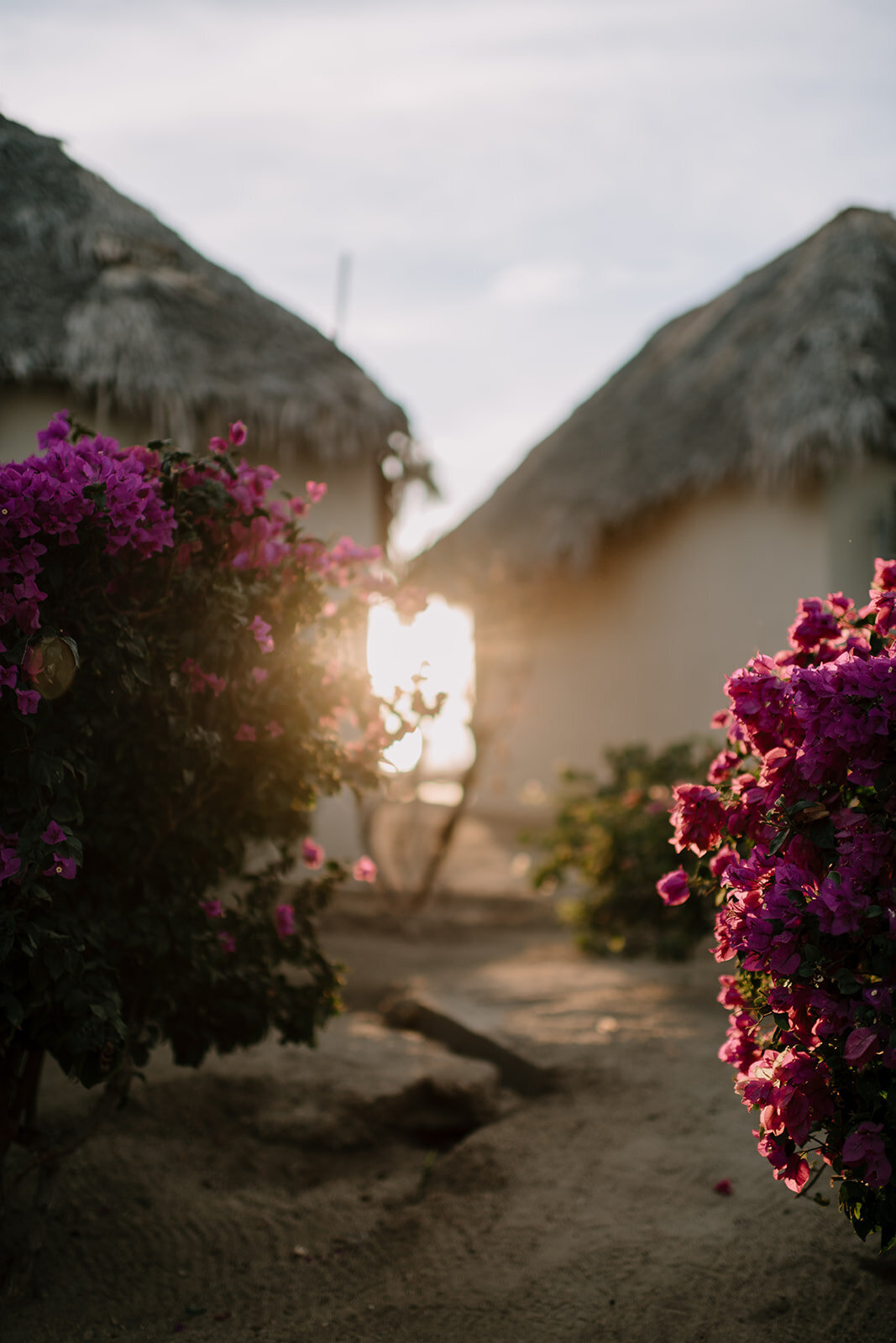 Cabo-San-Lucas-Wedding-Photographer-80