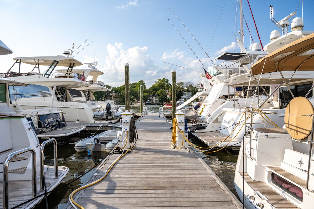 Annapolis luxury real estate 40
