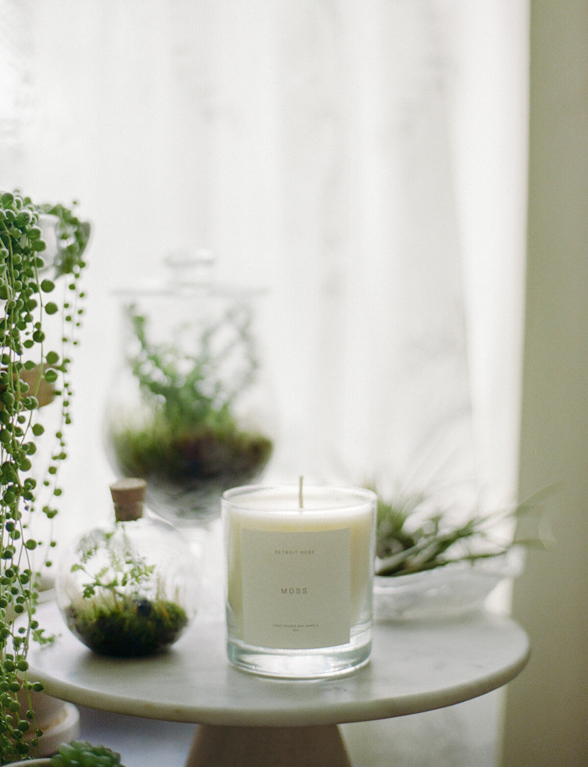 Detroit Rose Moss candle among plants, terrariums, interior branding photo details, candle company photoshoot
