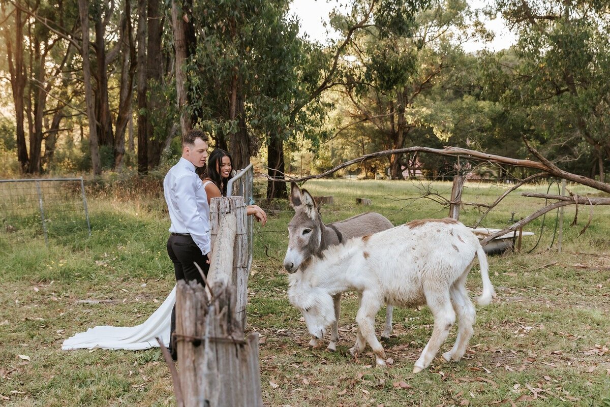 Elope-styled-micro-small-wedding-the-log-cabin-ranch-marriage67