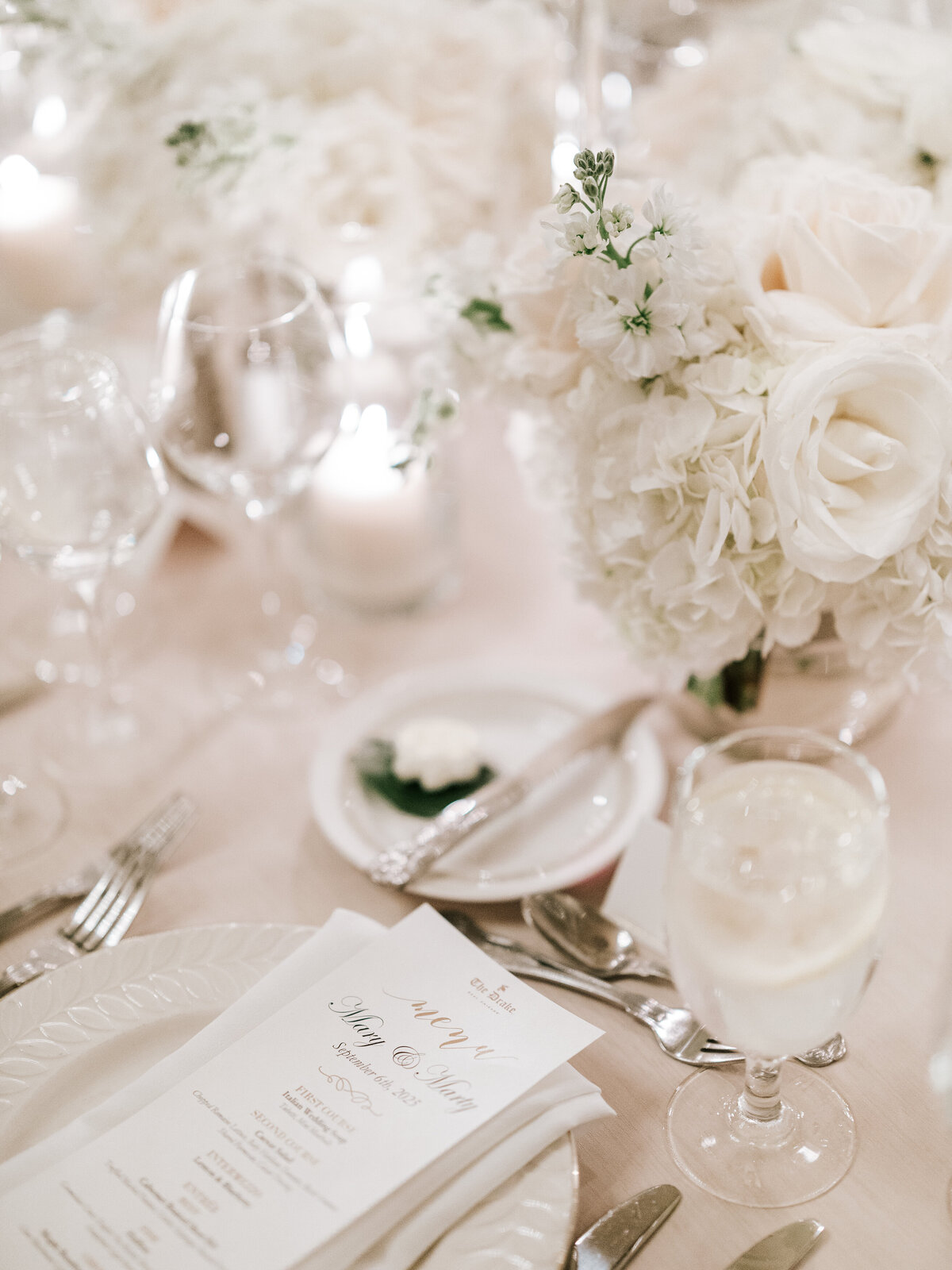 The Drake Hotel Chicago Wedding Photos-104