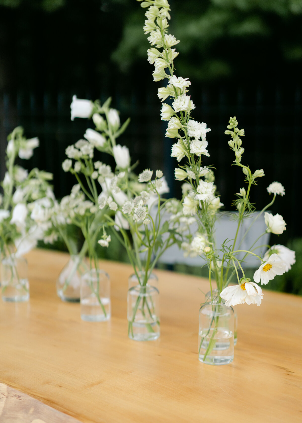 M&V Wedding Gallery-870