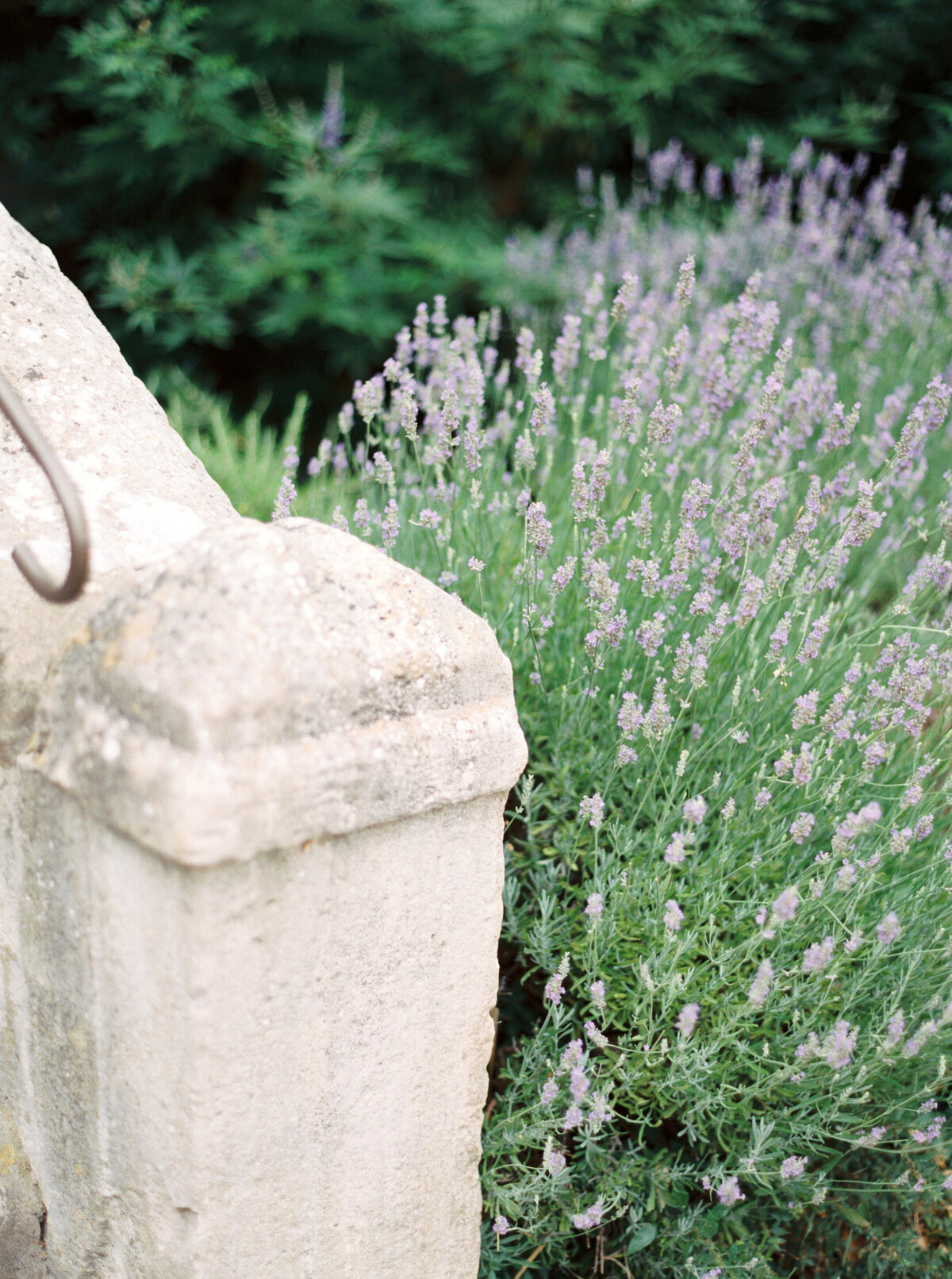 Wedding editorial at Barjac Village and Chartreuse de Valbonne in Provence, France - 3