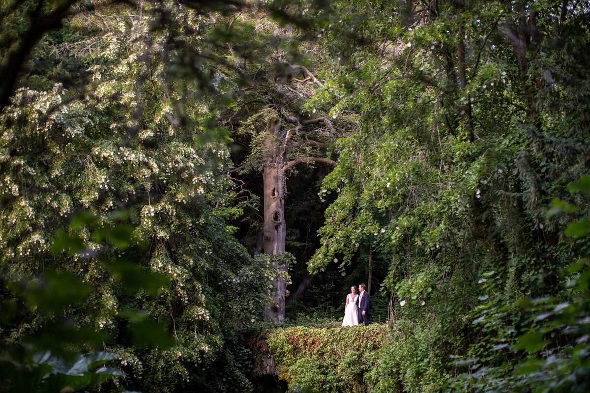 Distance shot of bride and groom through treelined forrest