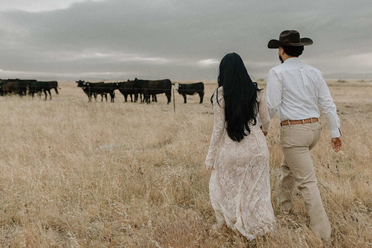 westernfieldproposal-15