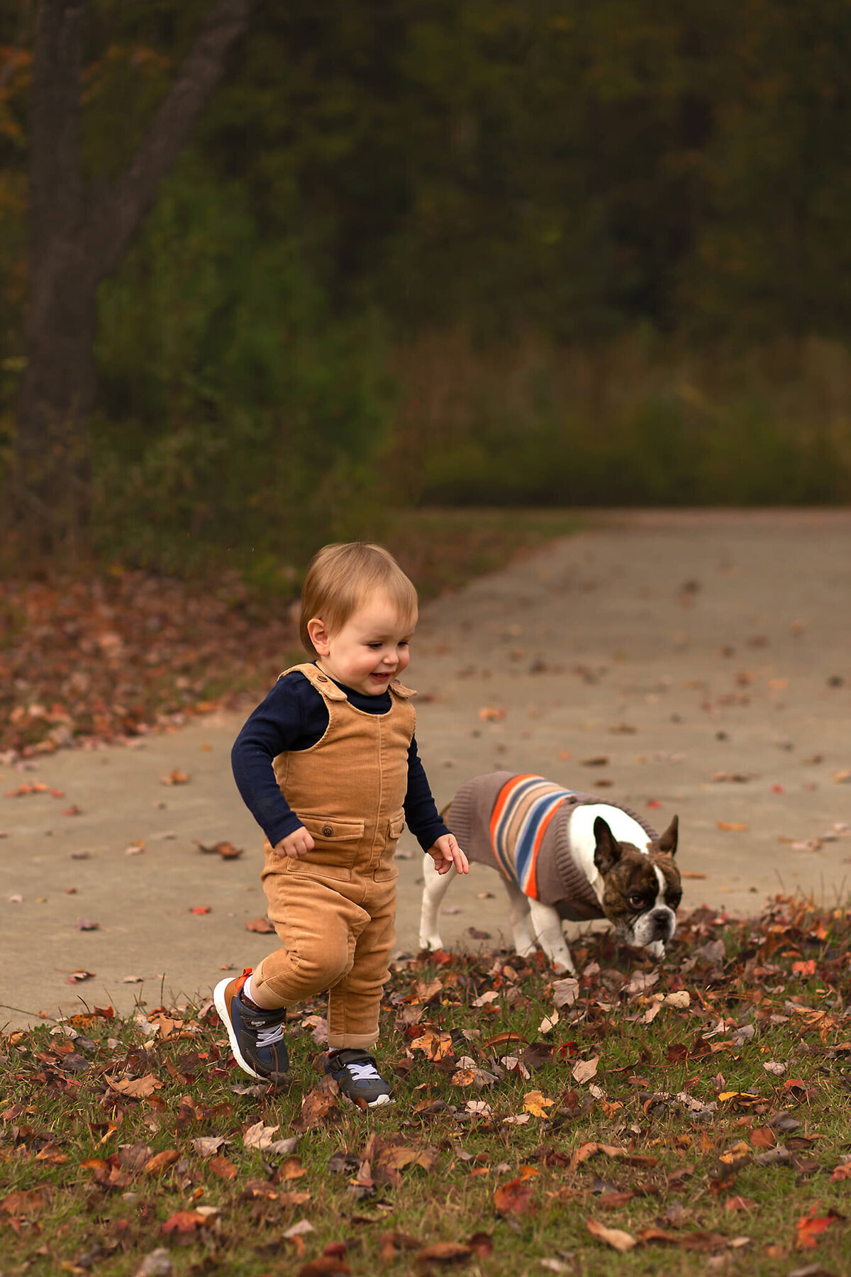 Children’s photos of little boy running with his dog in fall