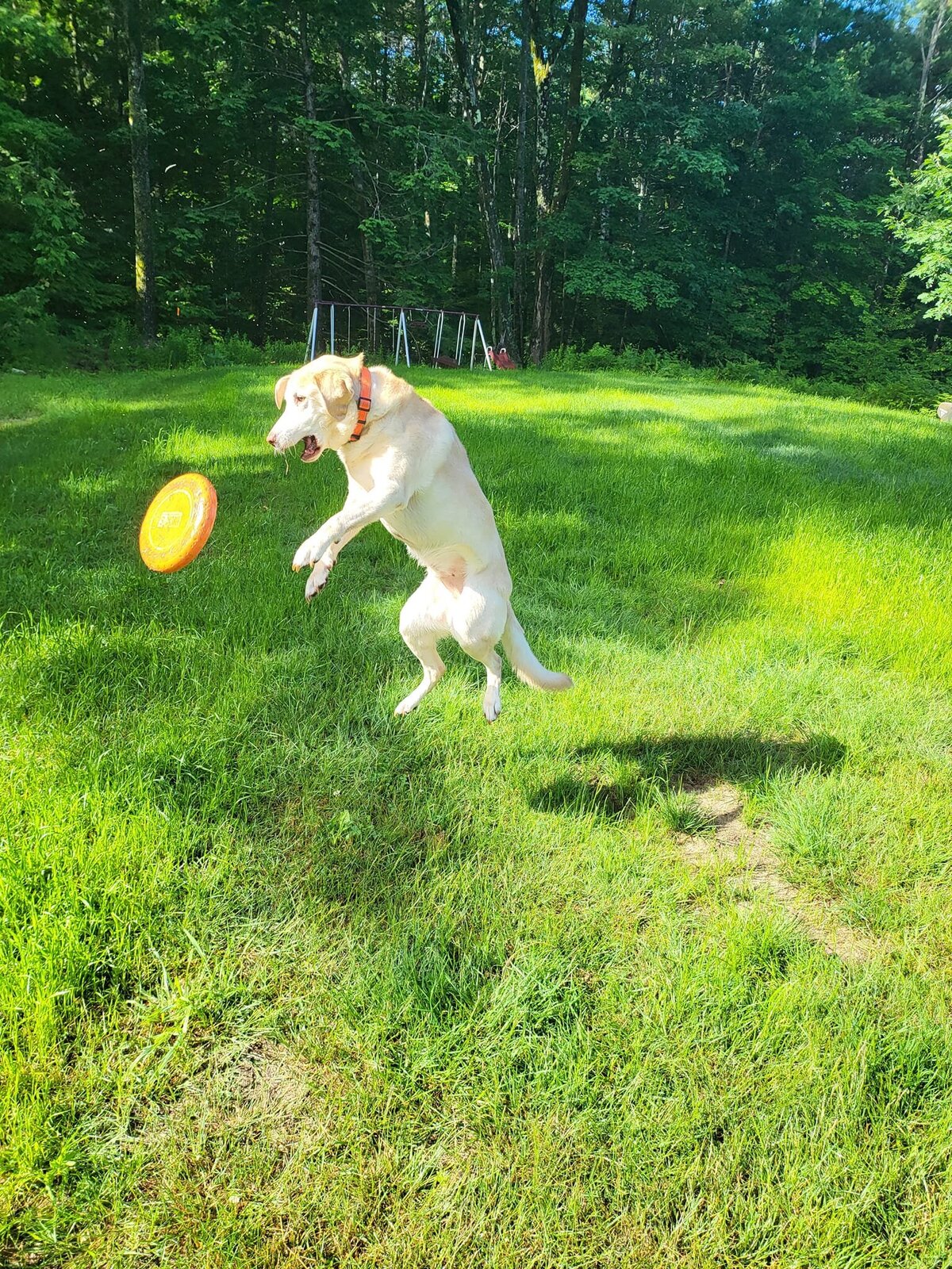 Ranger mid air