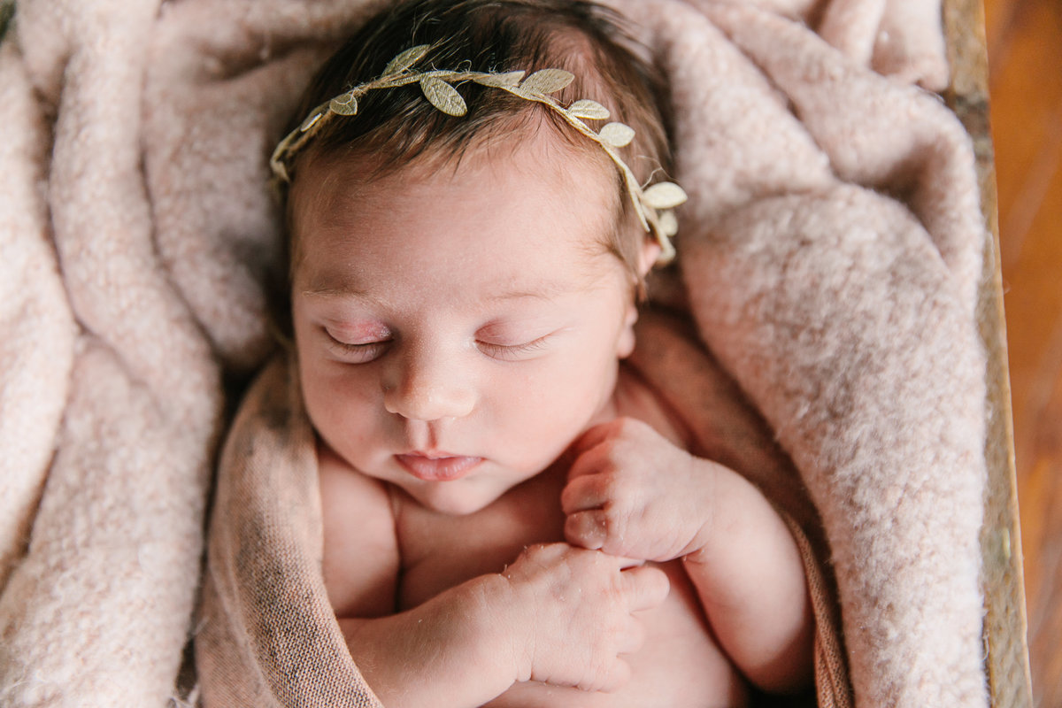 raleigh newborn photographer-lena-8852