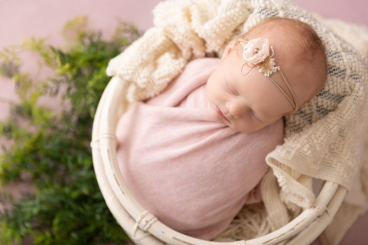 A newborn baby girl with a color palette of pink and greenery