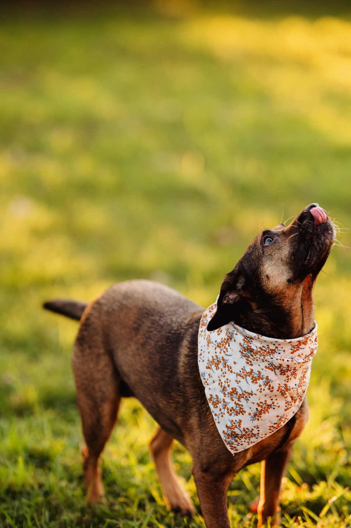 NicoleS_Fall2025_108