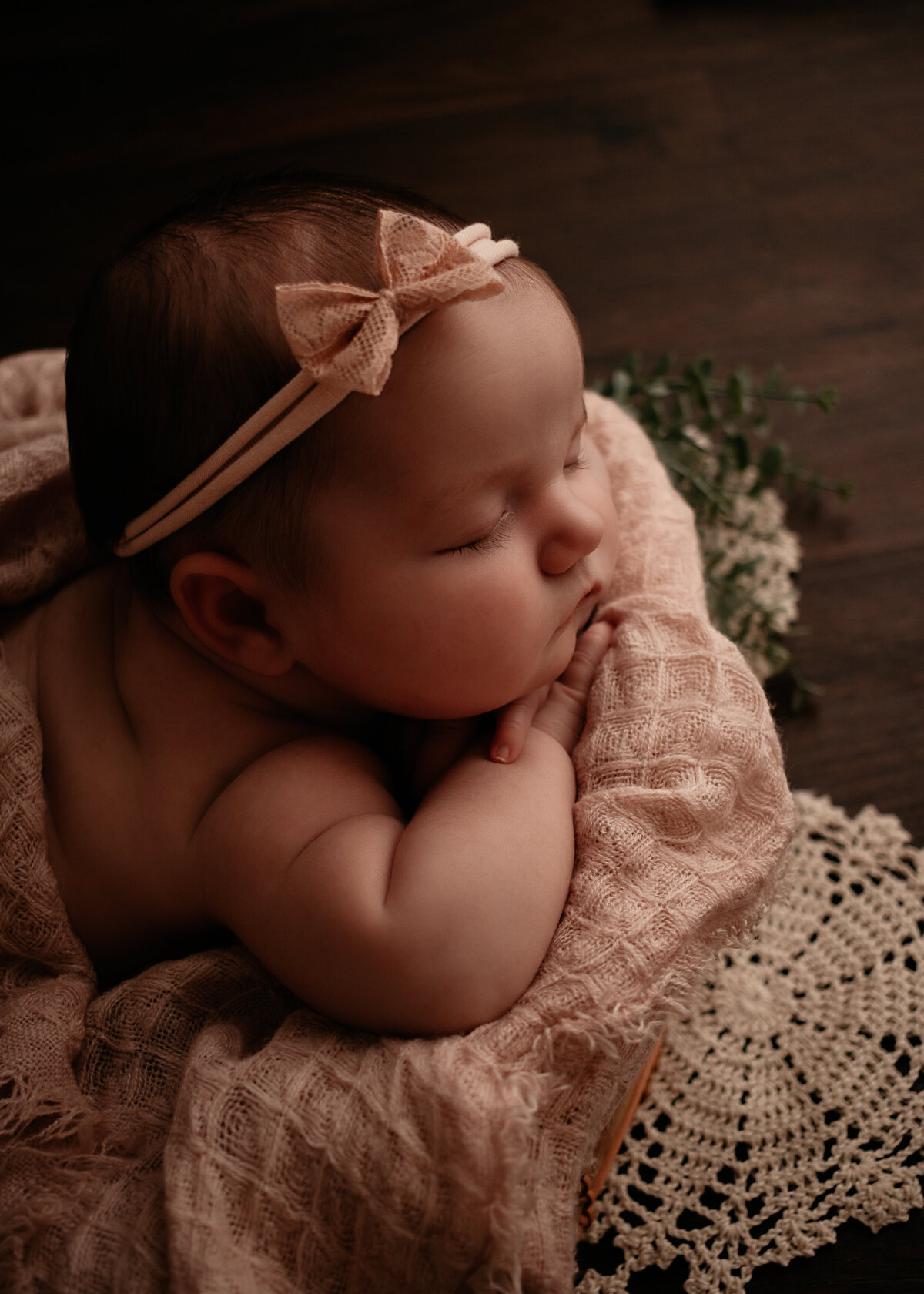 Minneapolis Newborn Photographer - Amanda Nicholle Photography