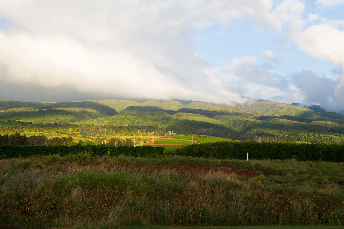 Maui-Hawaii-Honeymoon-718
