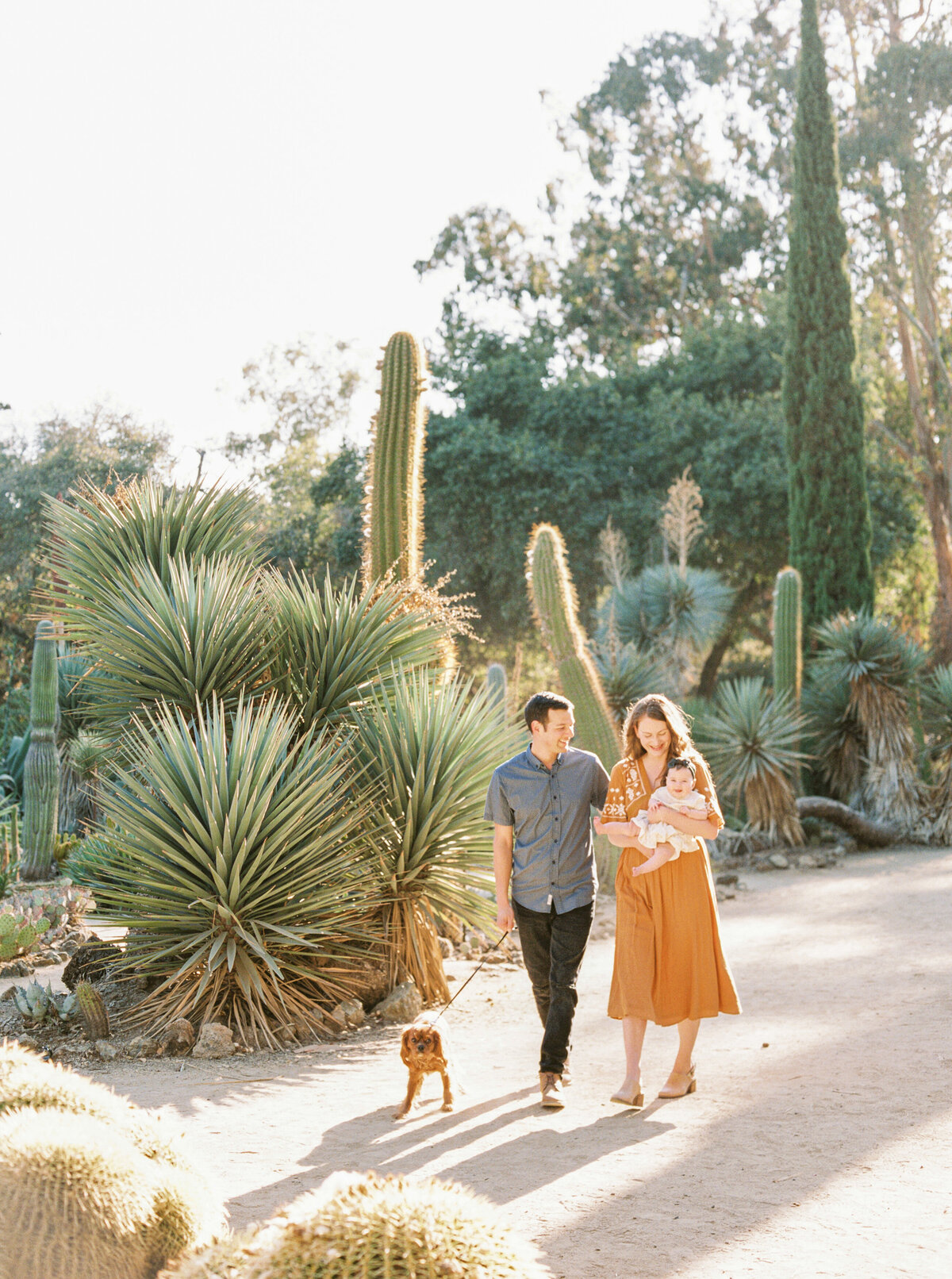 Olivia Marshall Photography- Cactus Desert Garden Family Photos-14