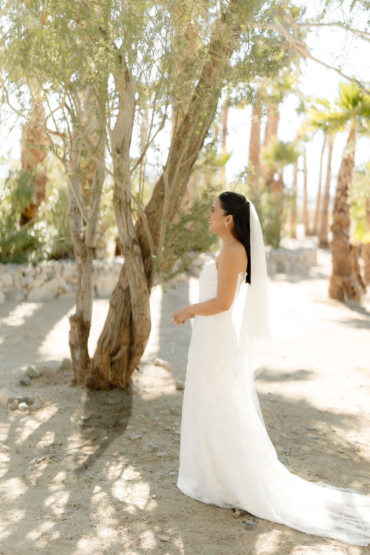 wedding photographers palm desert ca 51