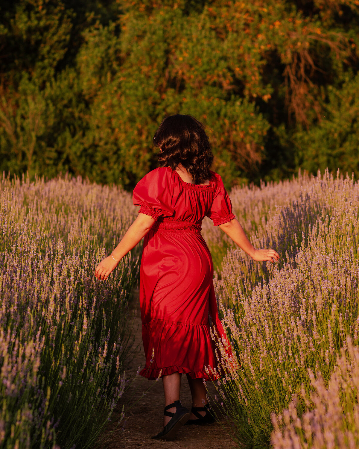 Lavender Run Diana (9)