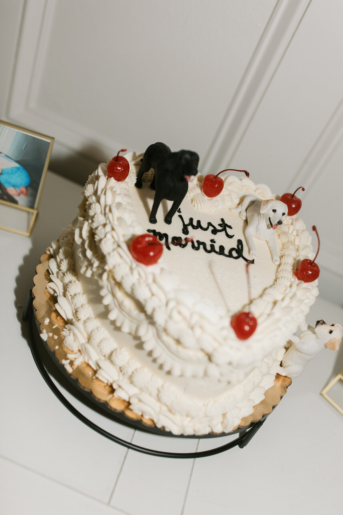 Wedding At Villa Festa, Florida
