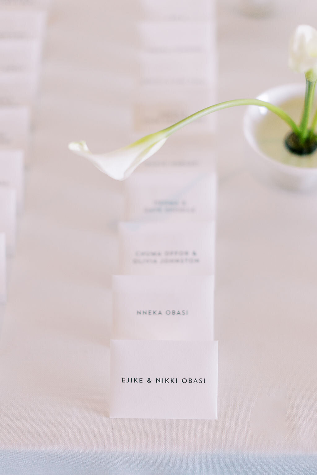 Theater On The Lake Modern Wedding_2