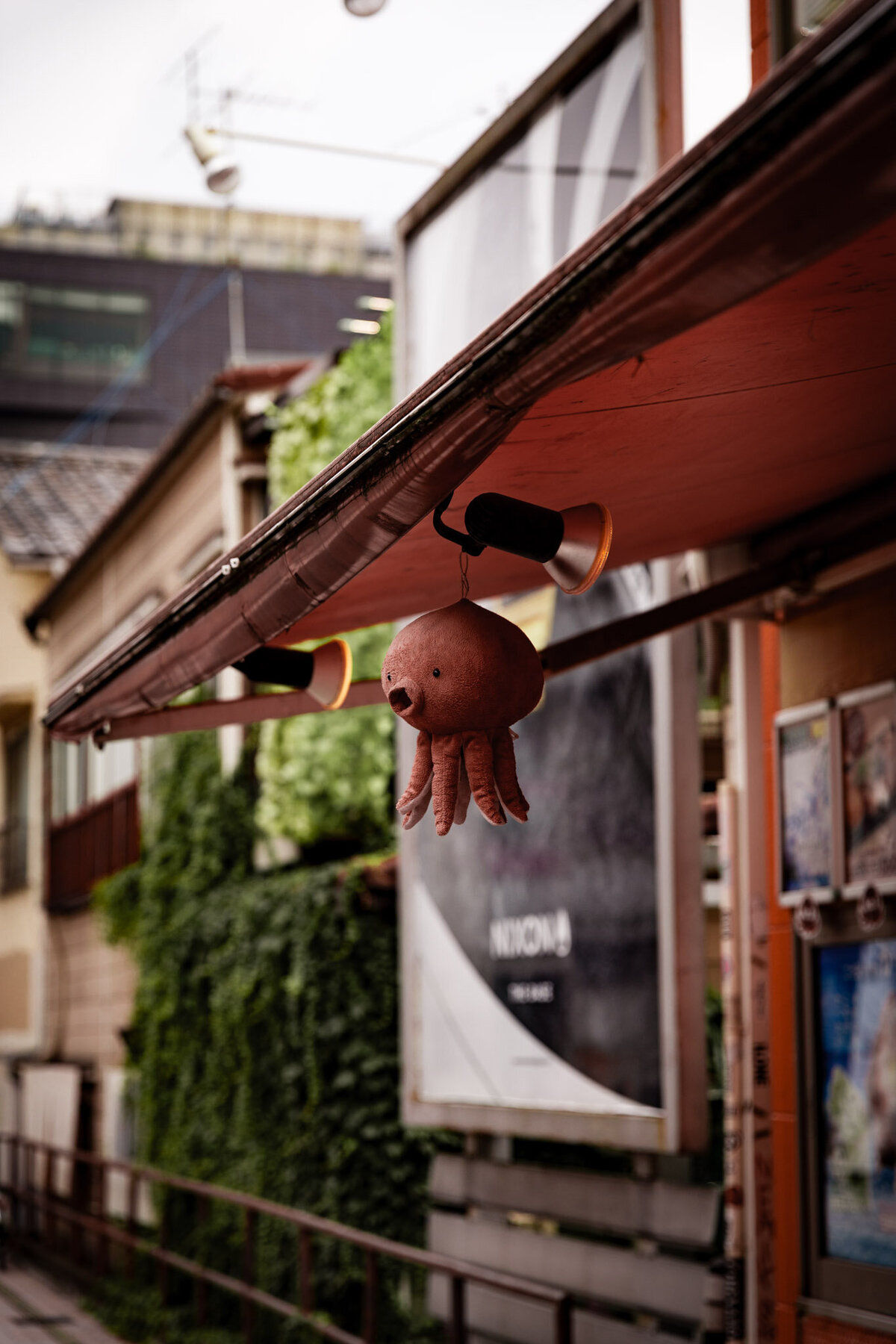 Japan for Website-05