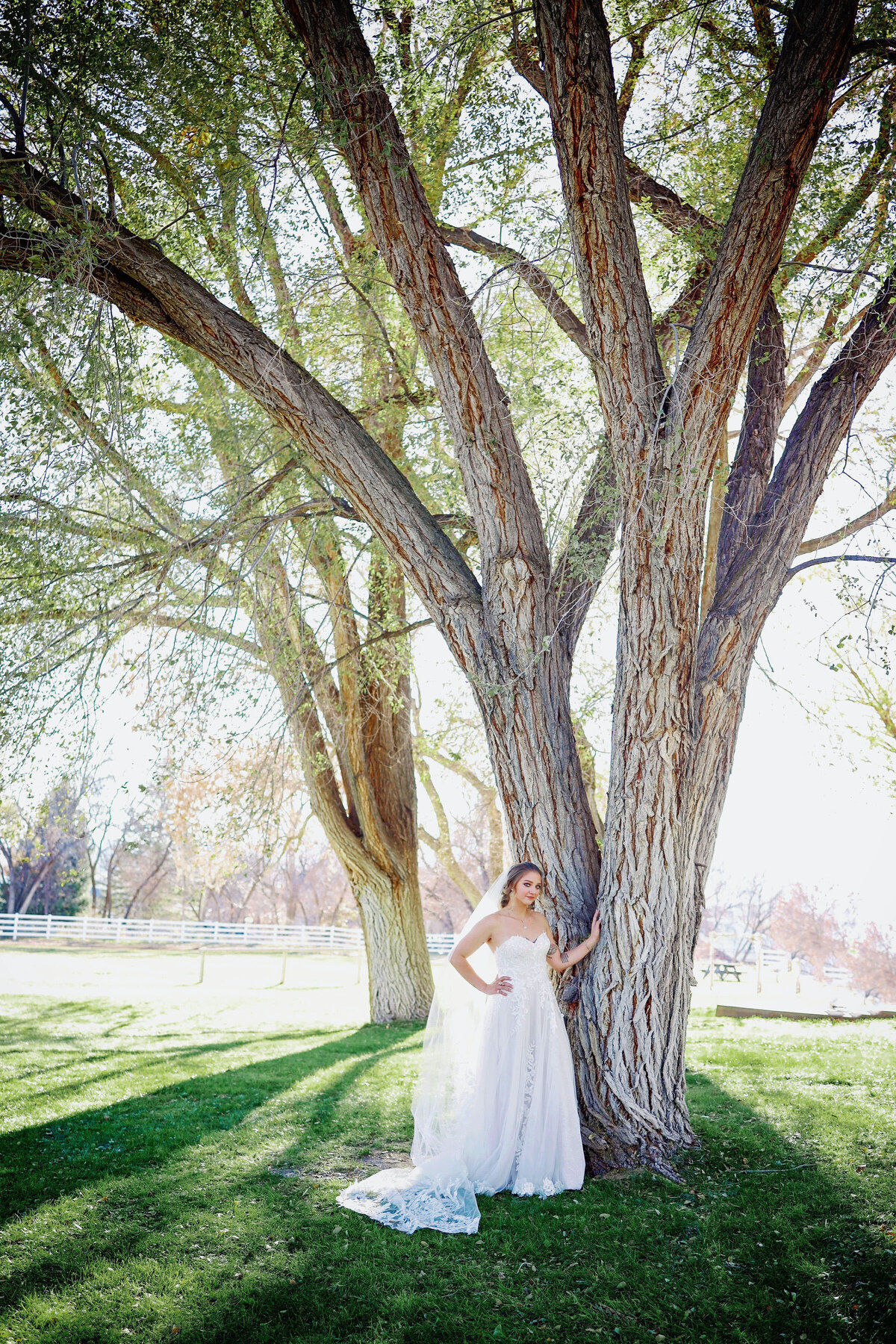 A pretty bride standing next to a huge tree, posing on her wedding day in Aspen, Colorado,