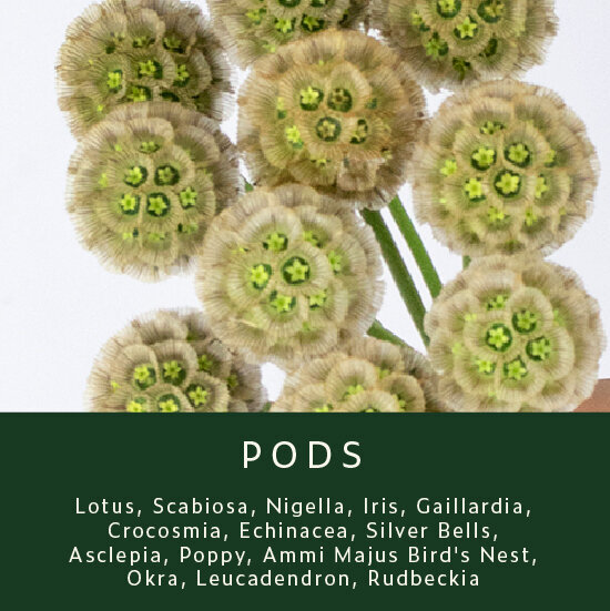 Pods
