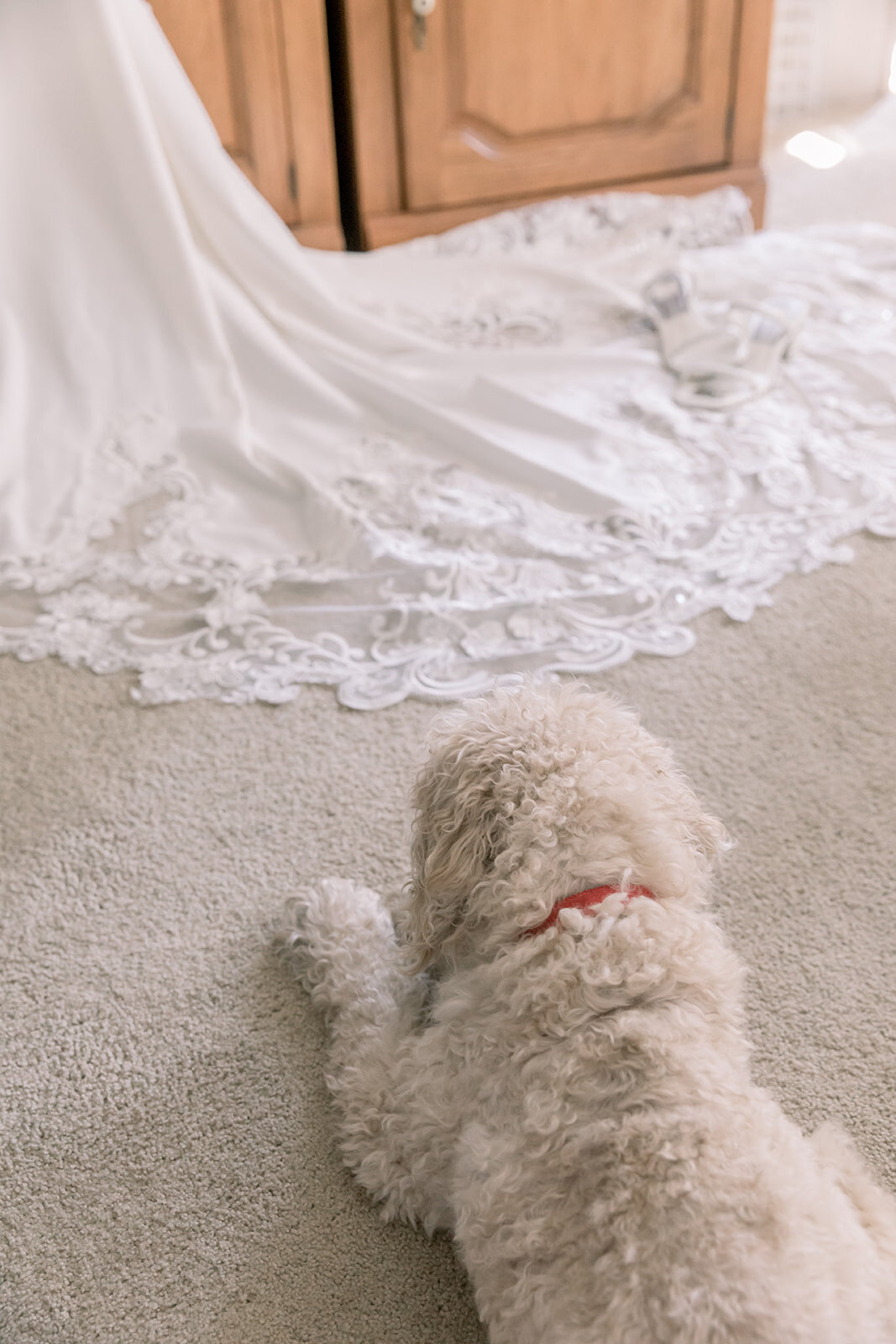 Detroit-Michigan-Wedding-Photographer-Morgan-and-Kyle-4