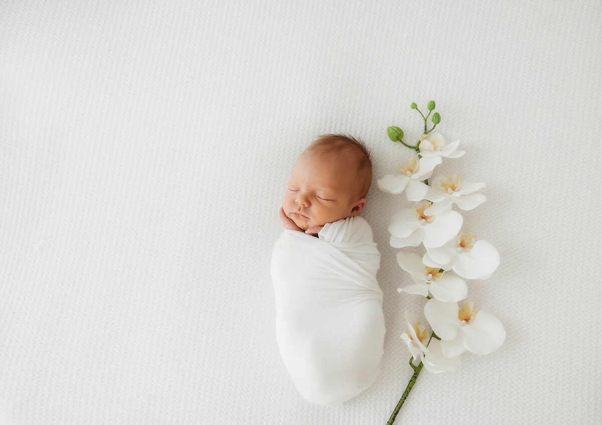 Baby posed for Newborn Portraits in Asheville, NC Newborn Photography Studio.