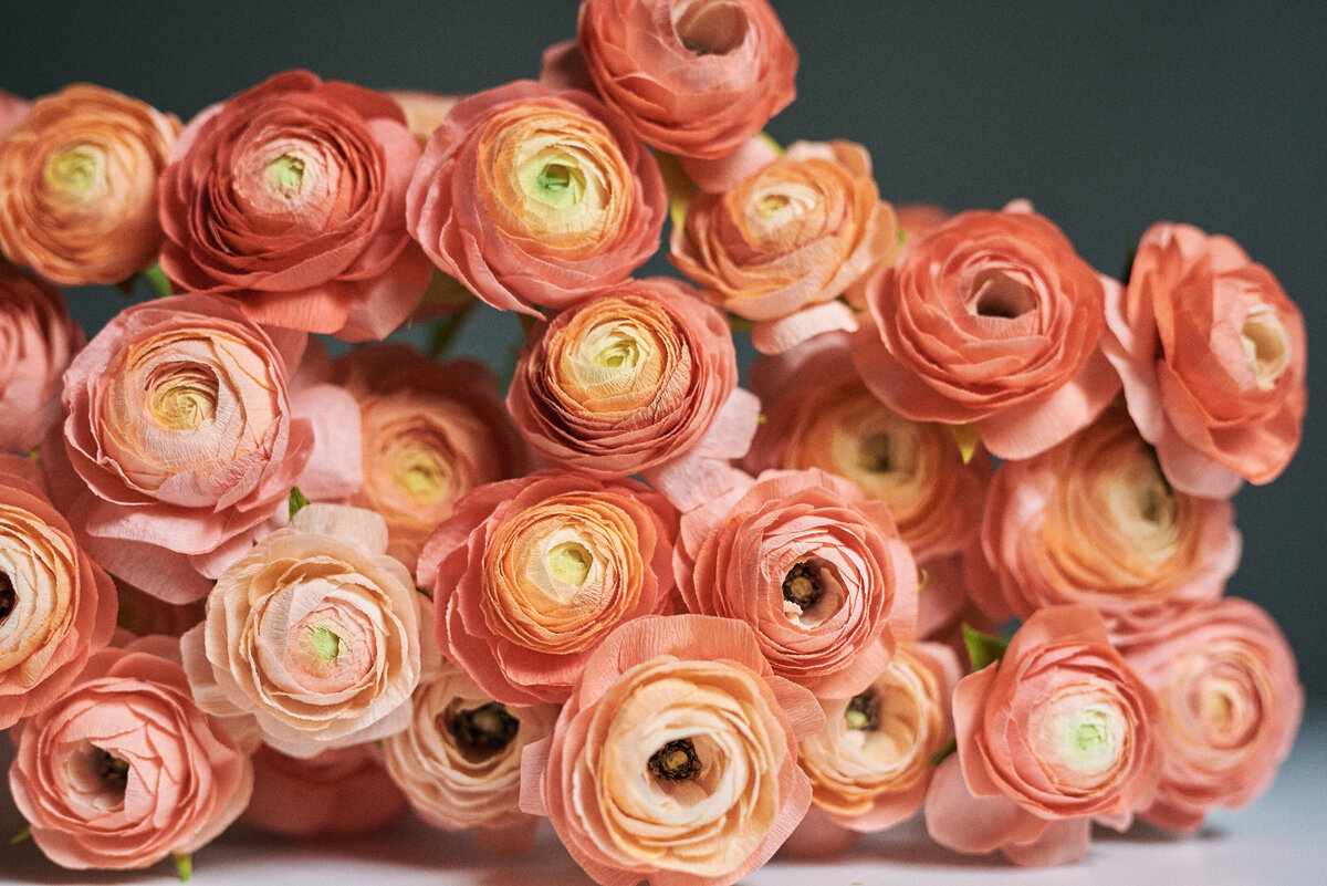 2405_rjwedding_web10