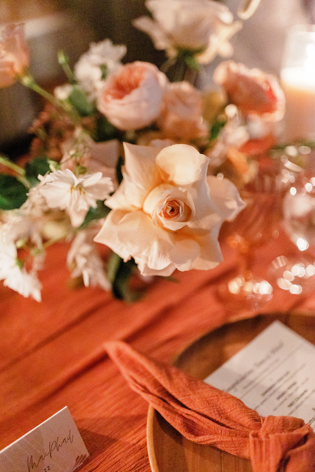 dana-arlind-reception-10