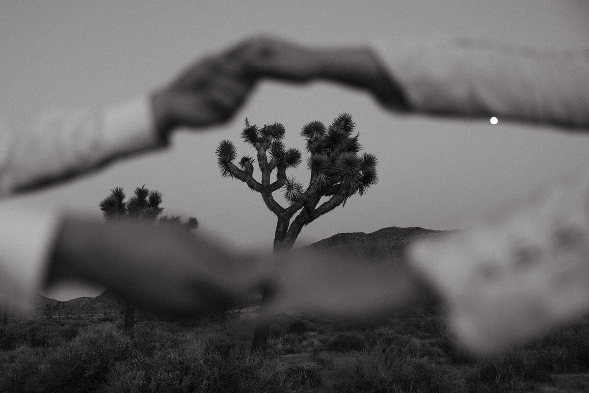 wedding photographer joshua tree