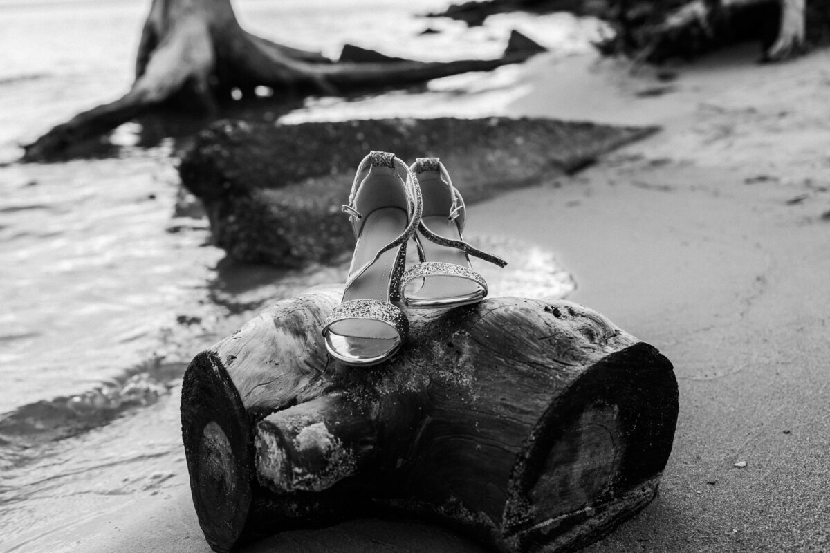 _DSC7771