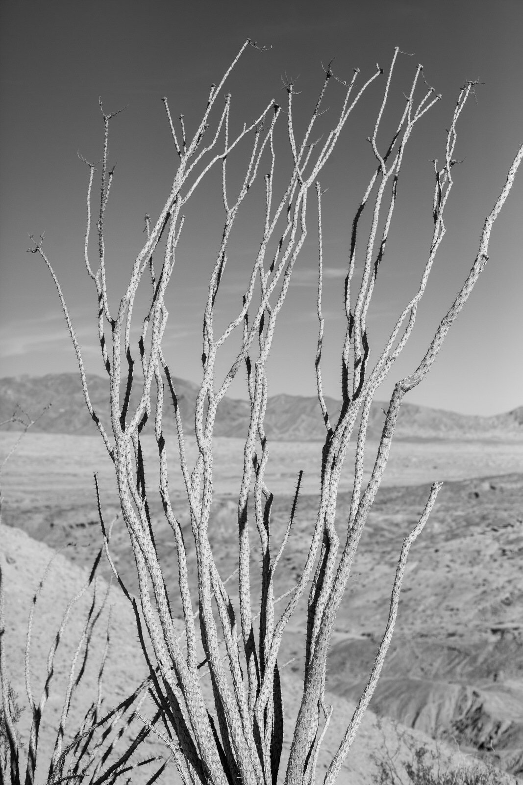 Salton-sea-abandoned-04-1