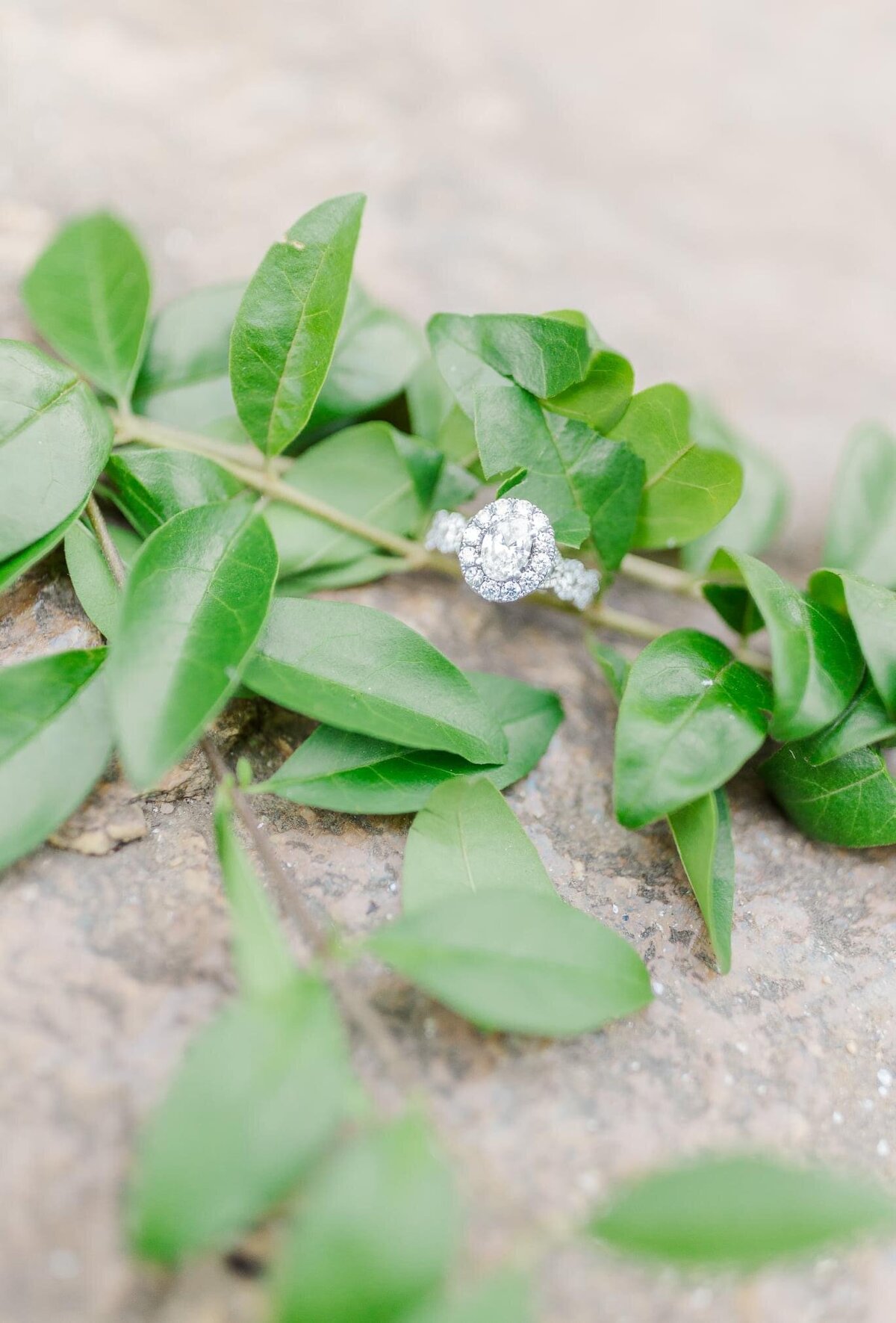Southern Photo Co. Weddings GA 2