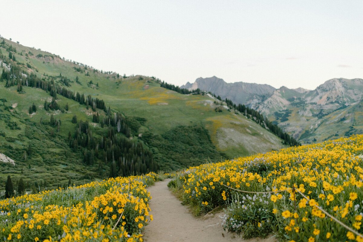 Leah Newhouse Photography (12)