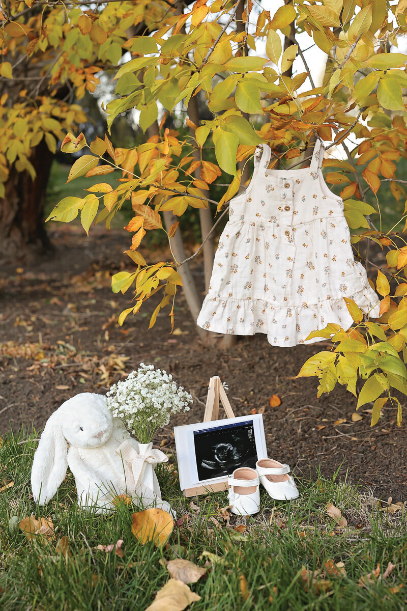 Baby girl pregnancy photo session setup in the park  in Calgary by Yuliia Terziian Photography